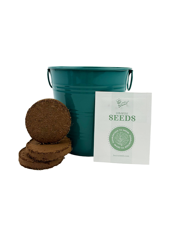 Sunflower Grow Kit