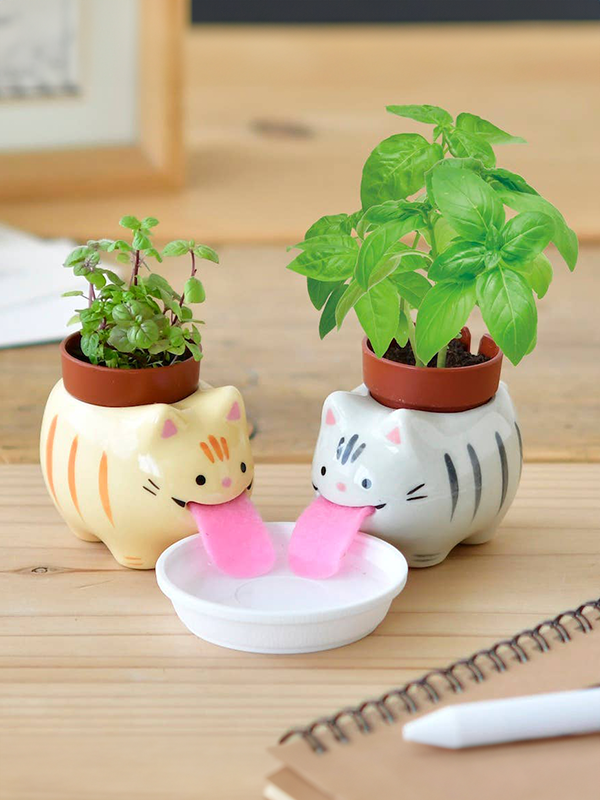 Peropon: Orange Tabby Cat (Peppermint)