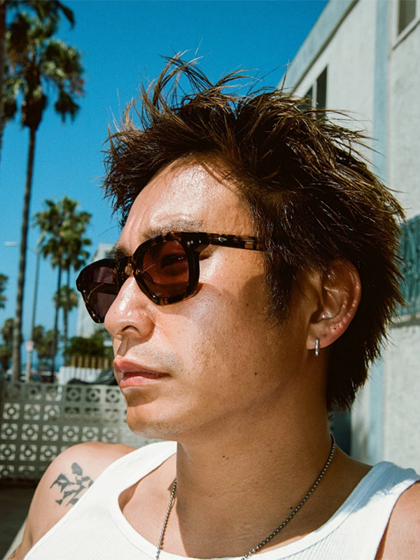 The No Wave: Desert Tortoise Bio / Polarized Plum