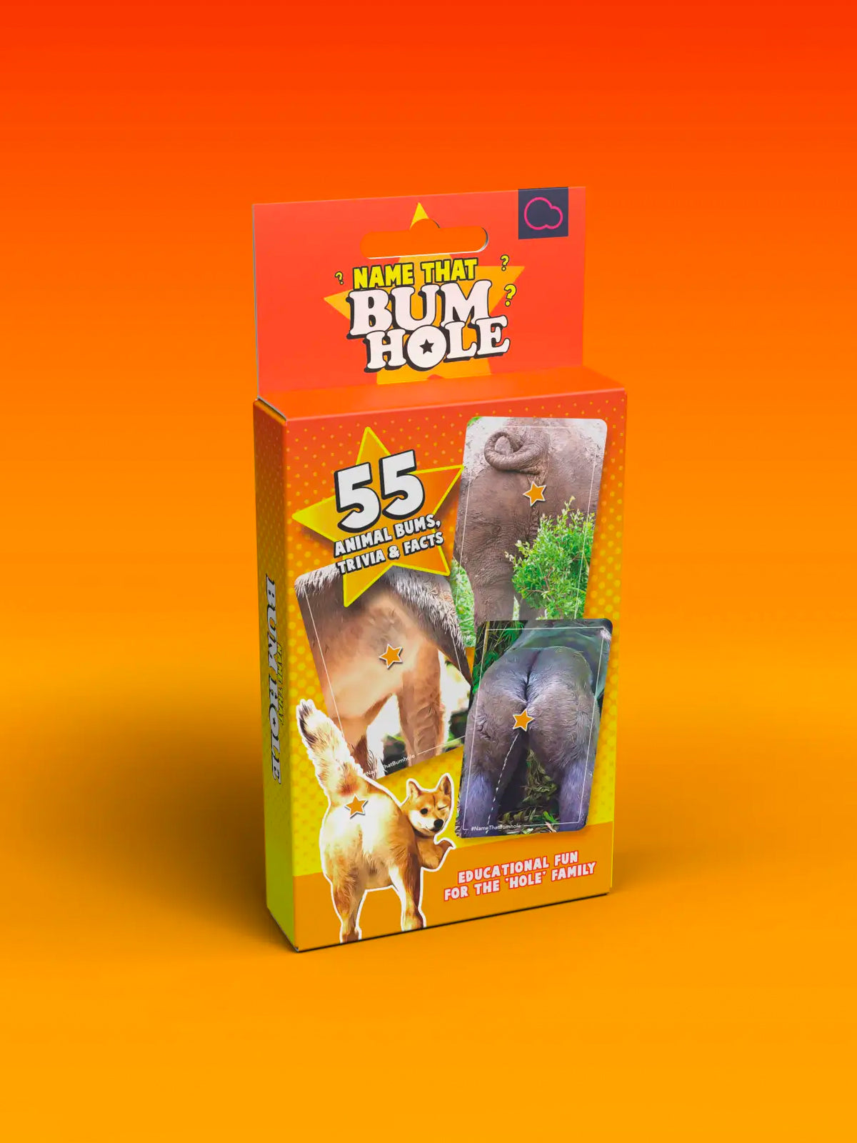 Name that Bumhole Card Game
