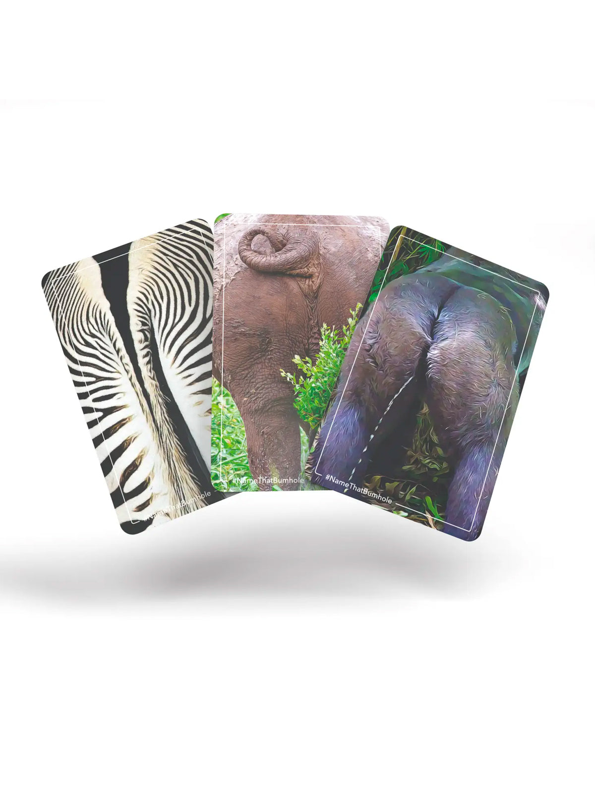 Name that Bumhole Card Game