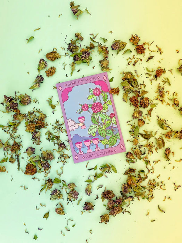 Purple Clover Tarot Seed Packet
